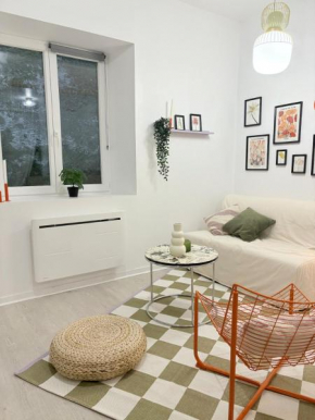 Appartement dans le cœur de Pau